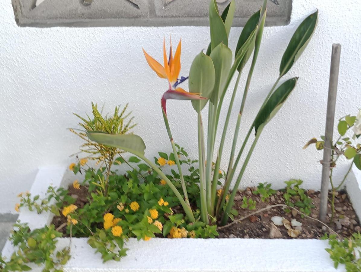Chalés Recanto das Flores RN Monte das Gameleiras Exterior foto